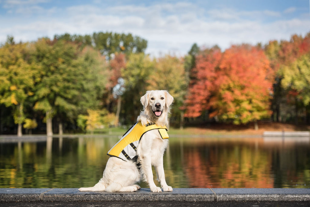 Life Vest - Dog Life Jacket by GF Pet.us