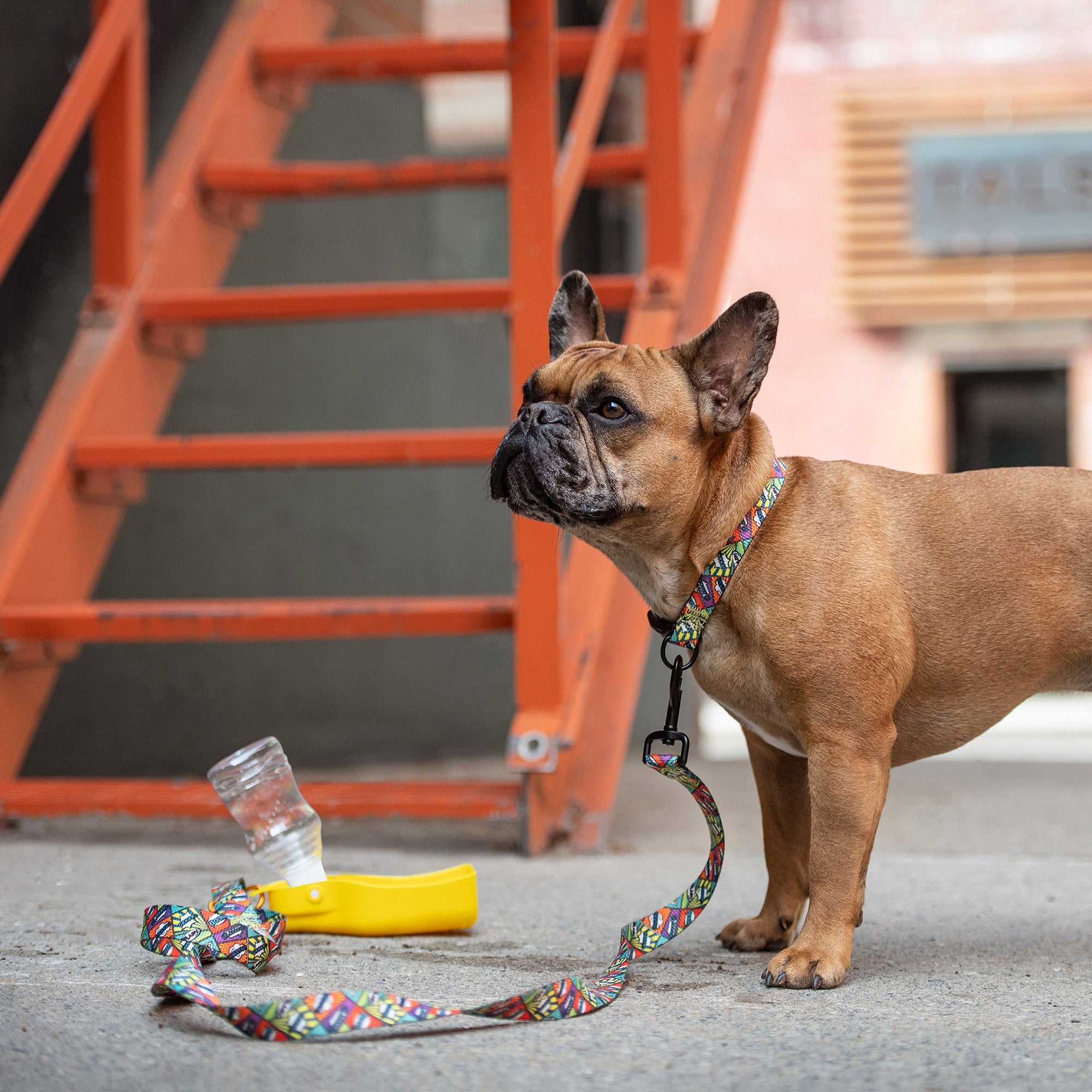 Water Bottle by GF Pet.us