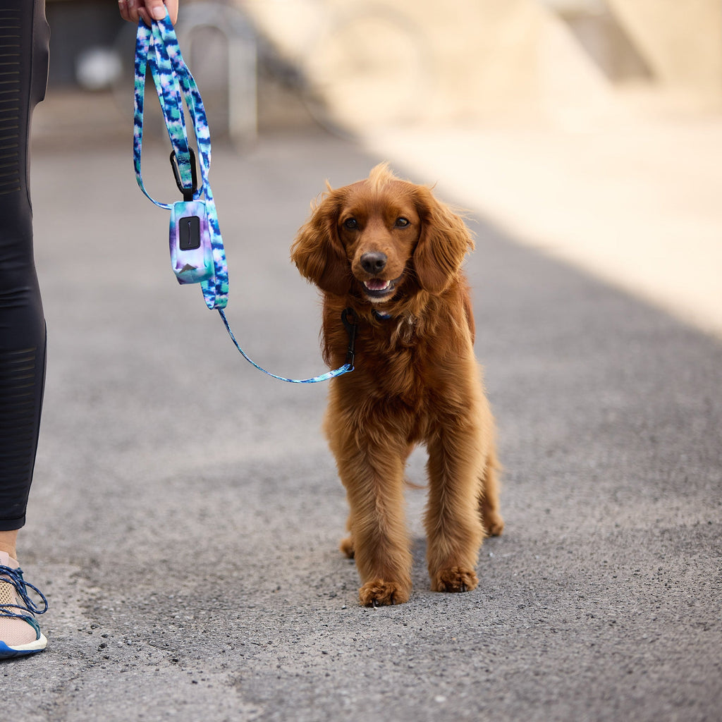 Poop Bag Dispenser - Tie Die by GF Pet.us