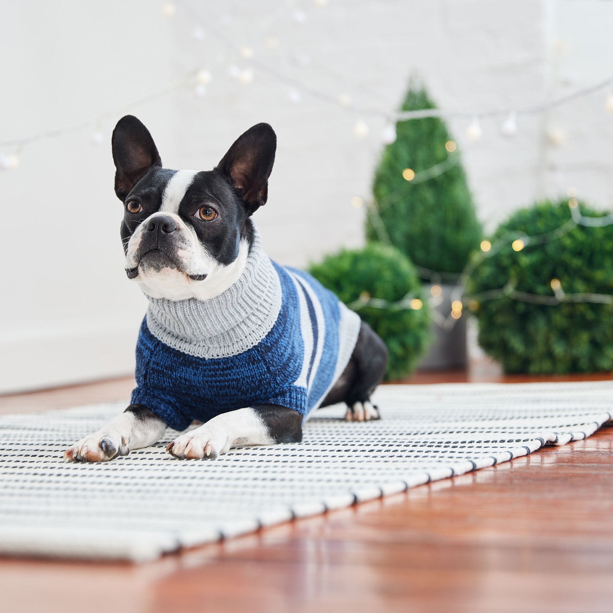 Trekking Sweater - Blue by GF Pet.us