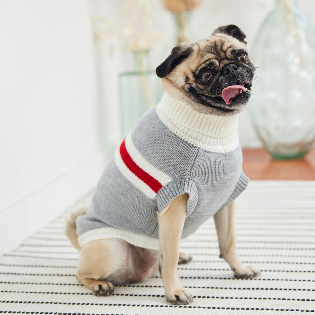 Trekking Sweater - Grey Mix by GF Pet.us
