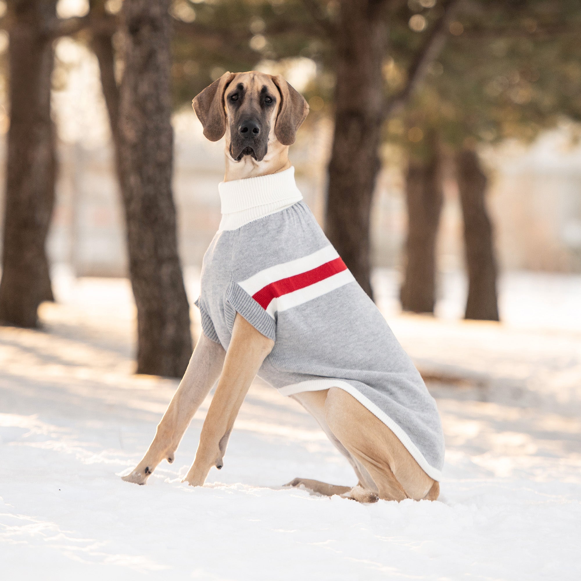Trekking Sweater - Grey Mix by GF Pet.us