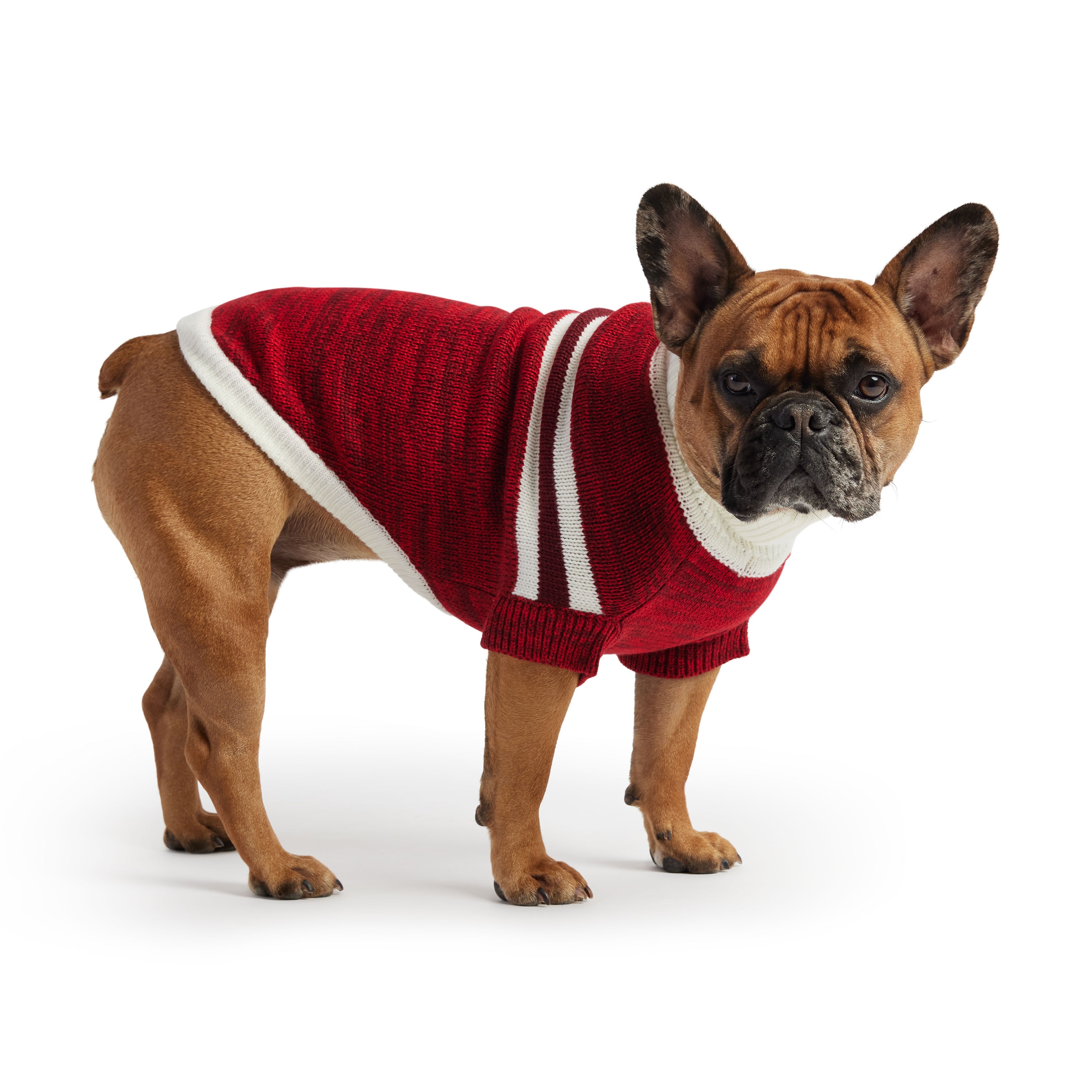 Trekking Sweater - Red by GF Pet.us