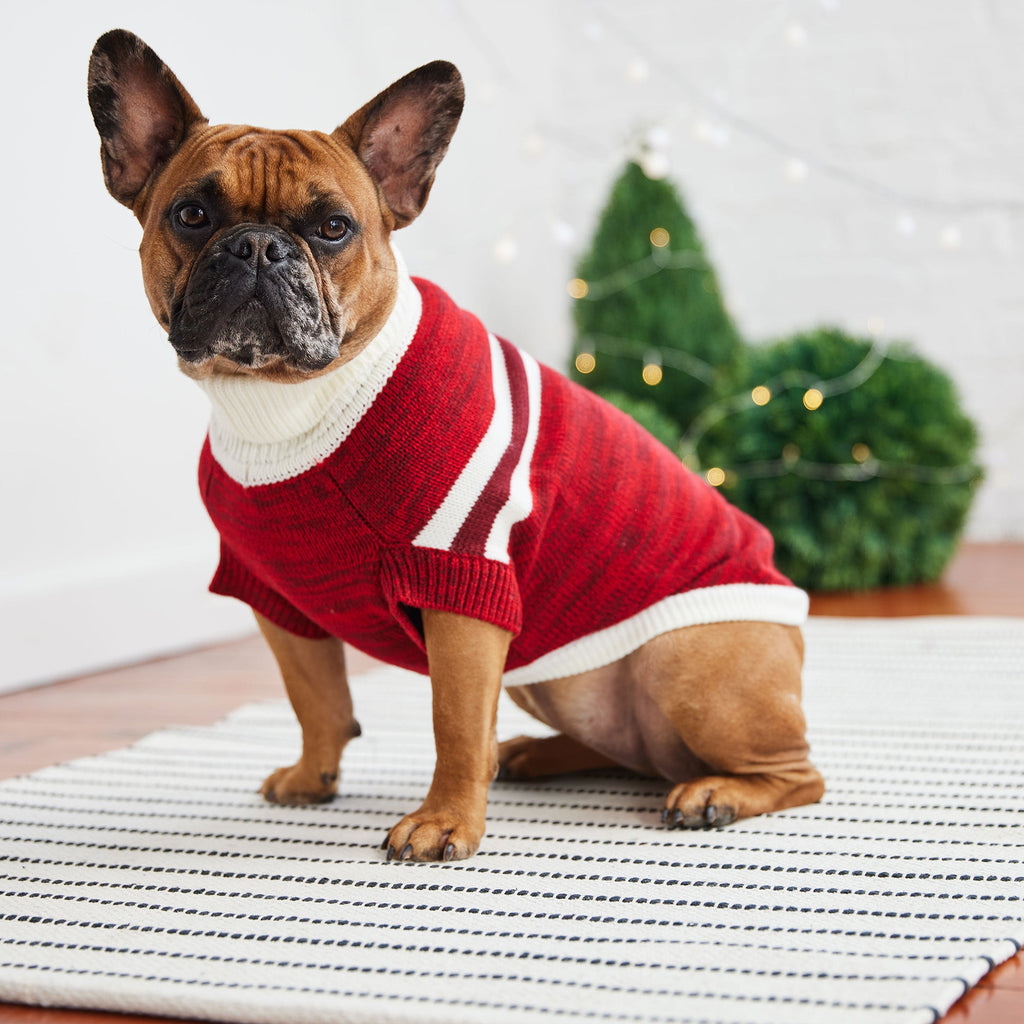 Trekking Sweater - Red by GF Pet.us