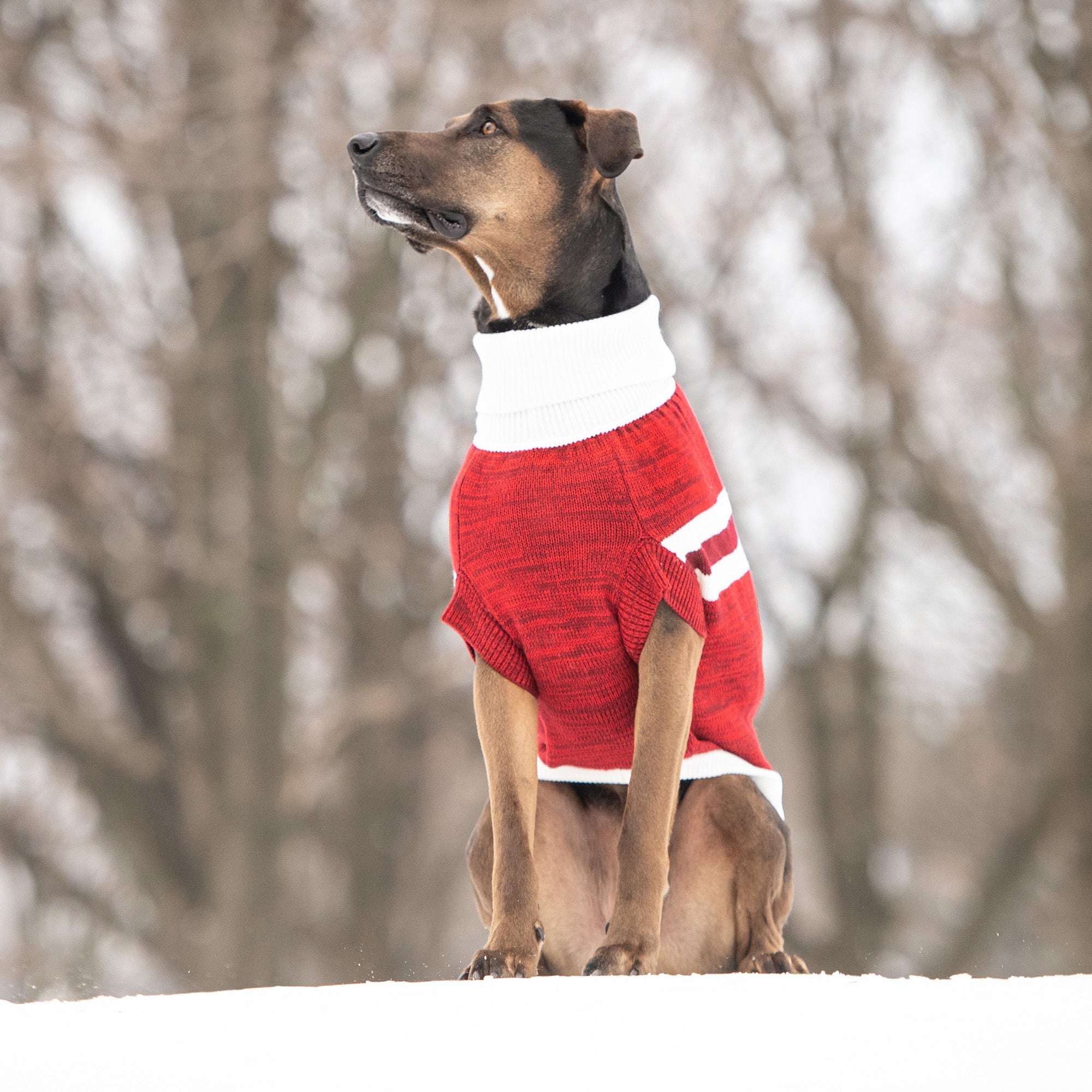 Trekking Sweater - Red by GF Pet.us