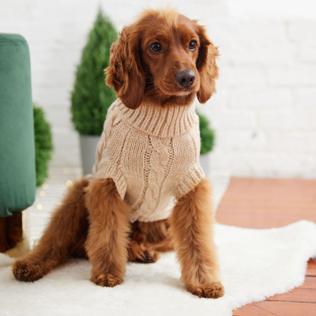 Chalet Sweater - Oatmeal by GF Pet.us