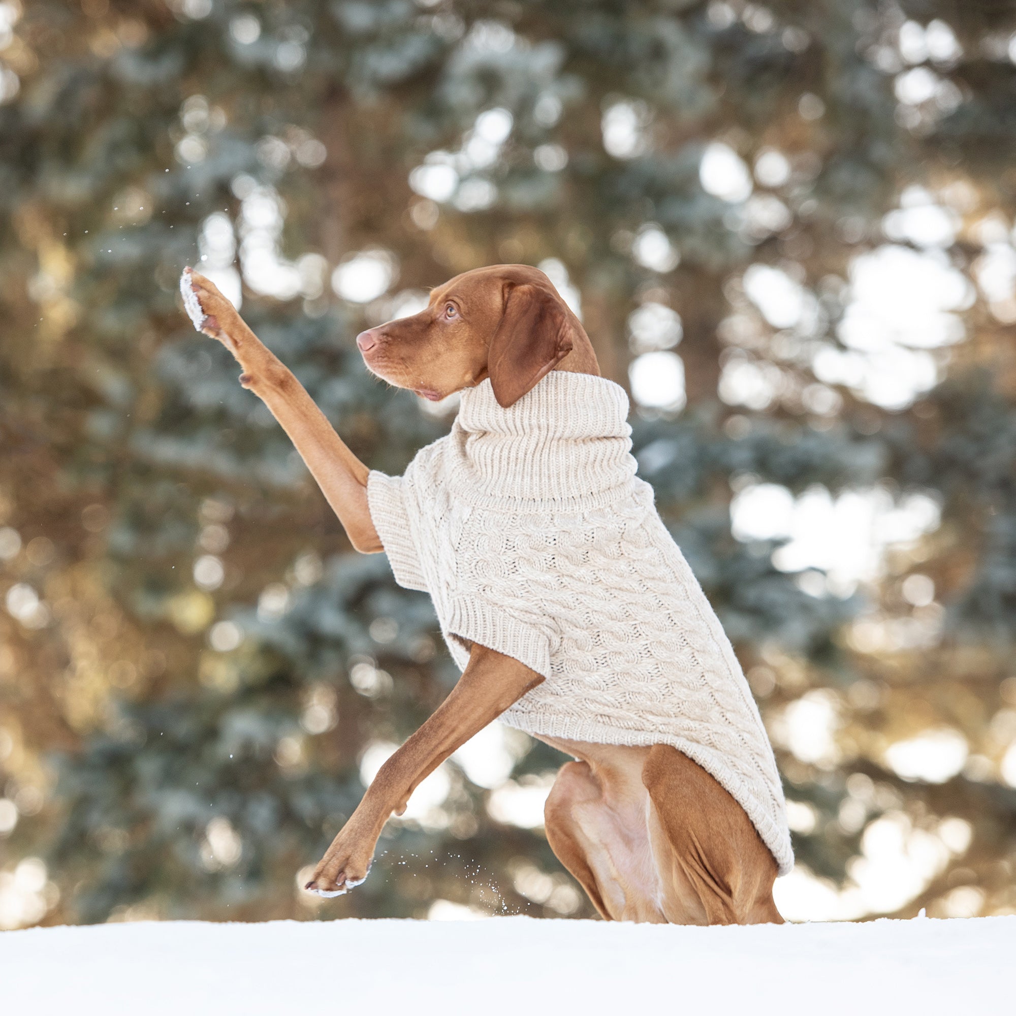 Chalet Sweater - Oatmeal by GF Pet.us