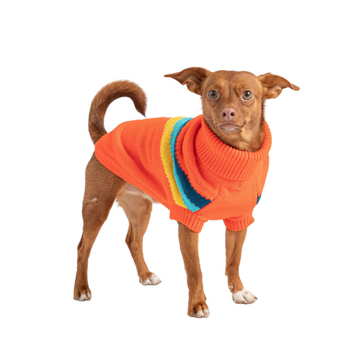 Alpine Sweater - Orange by GF Pet.us