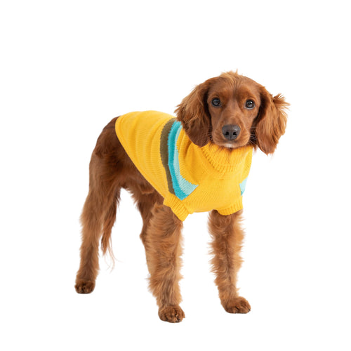 Alpine Sweater - Yellow by GF Pet.us