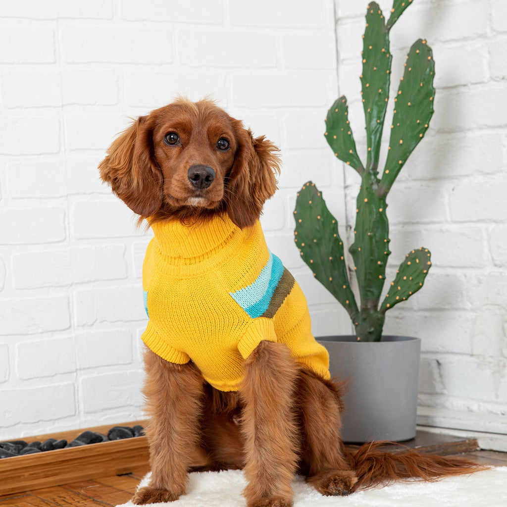 Alpine Sweater - Yellow by GF Pet.us