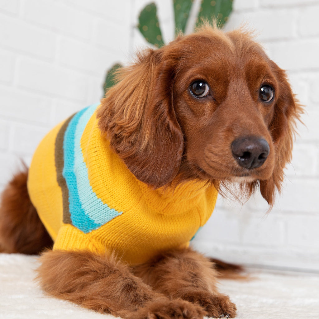 Alpine Sweater - Yellow by GF Pet.us