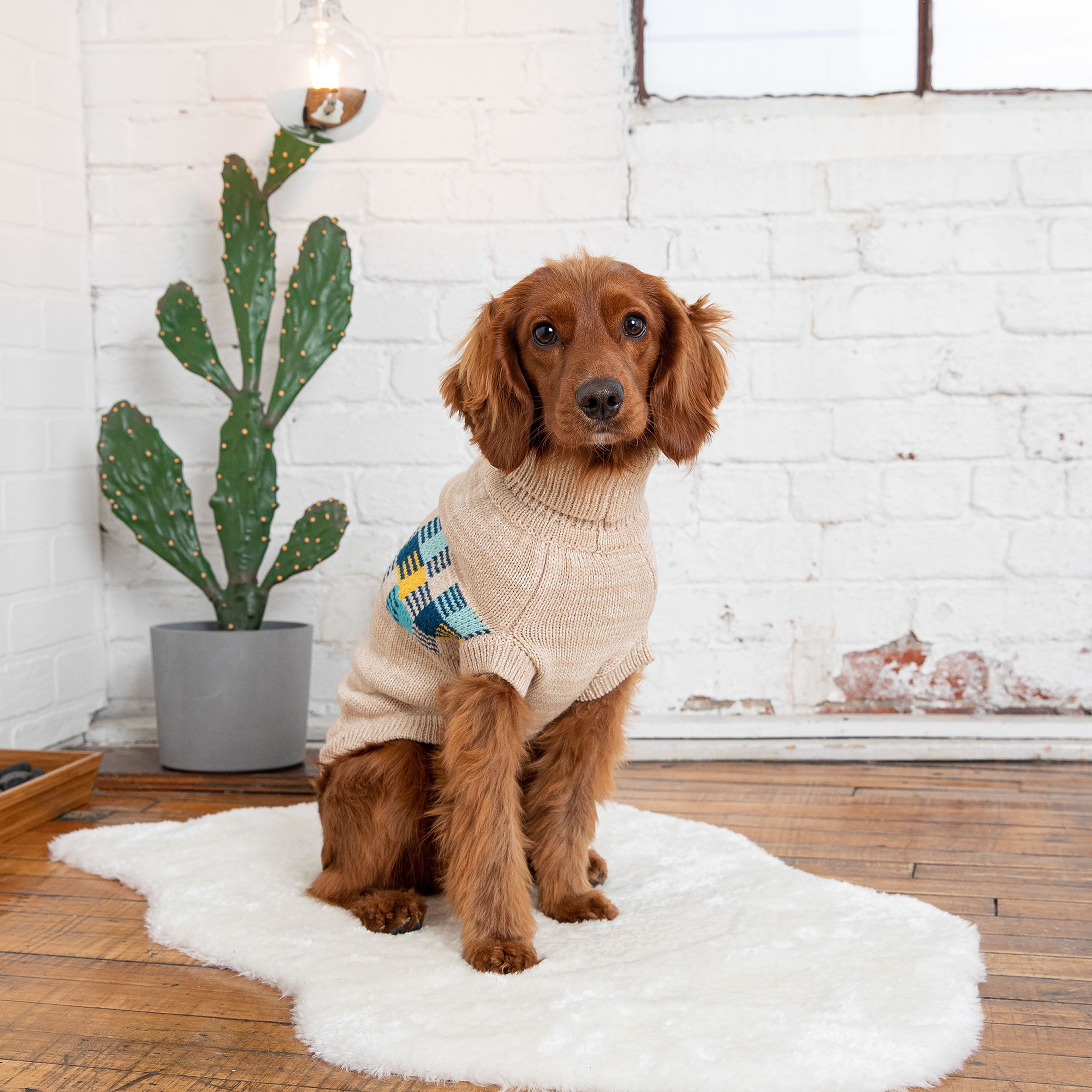 Winter Sailor Sweater - Oatmeal Mix by GF Pet.us