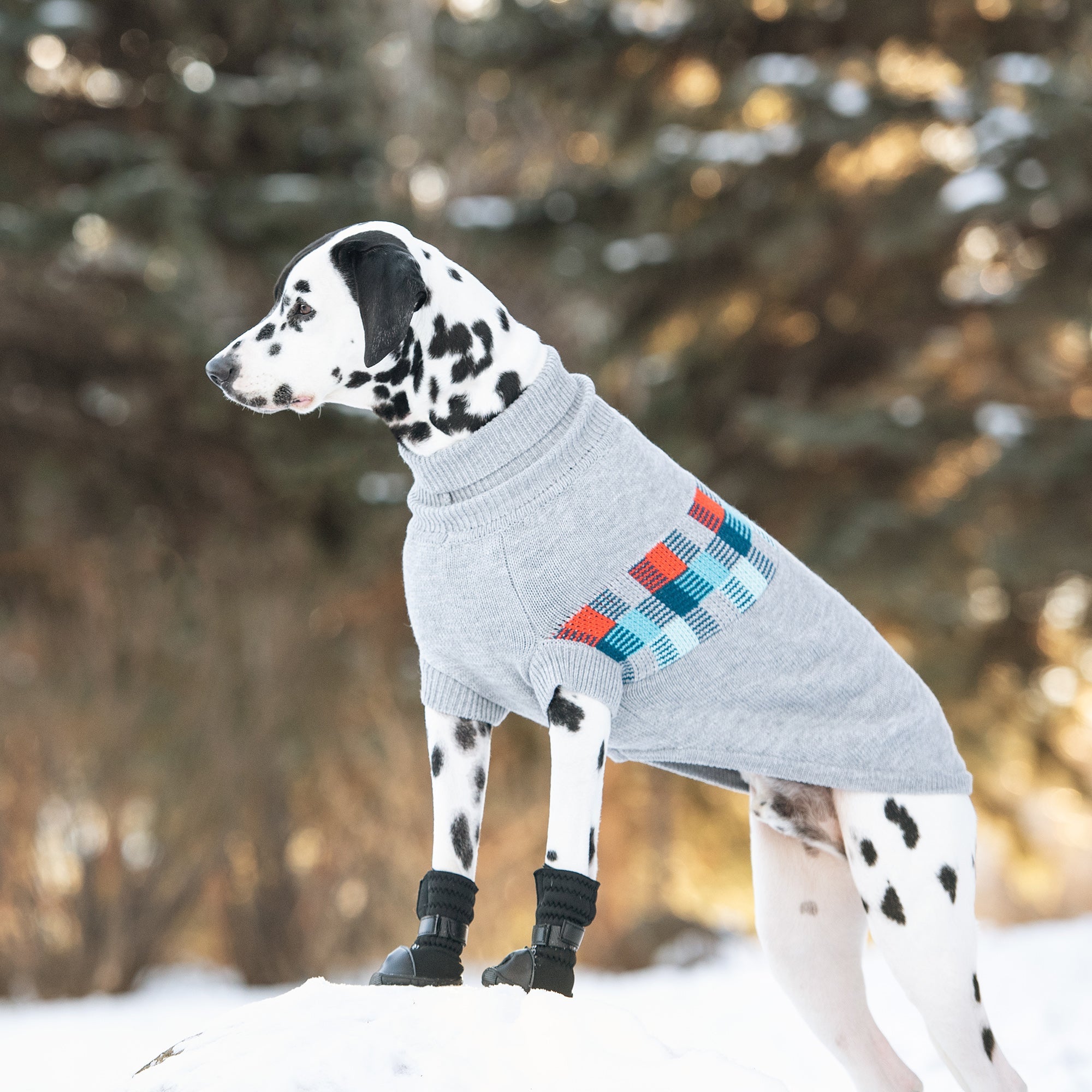 Winter Sailor Sweater - Grey Mix by GF Pet.us