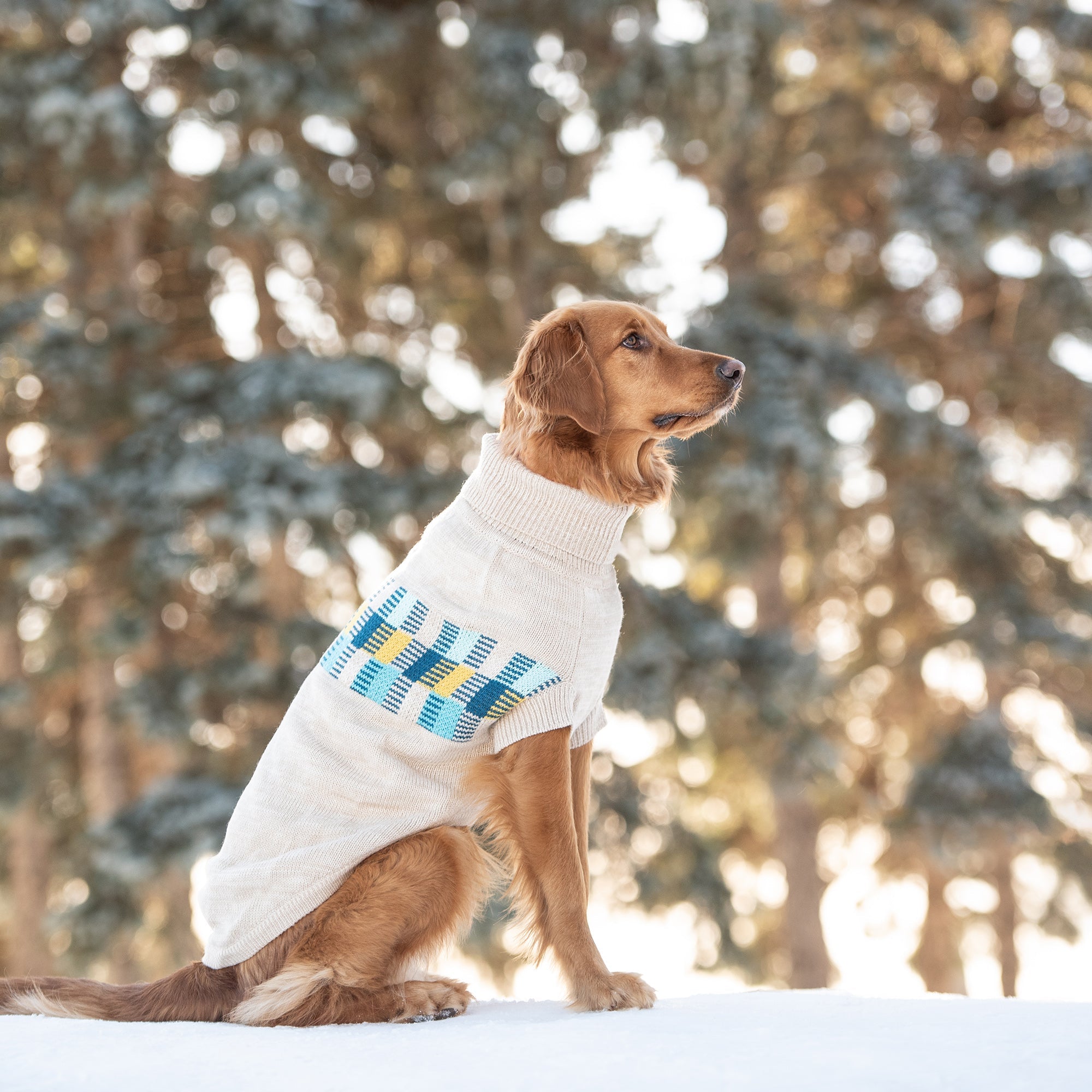 Winter Sailor Sweater - Oatmeal Mix by GF Pet.us