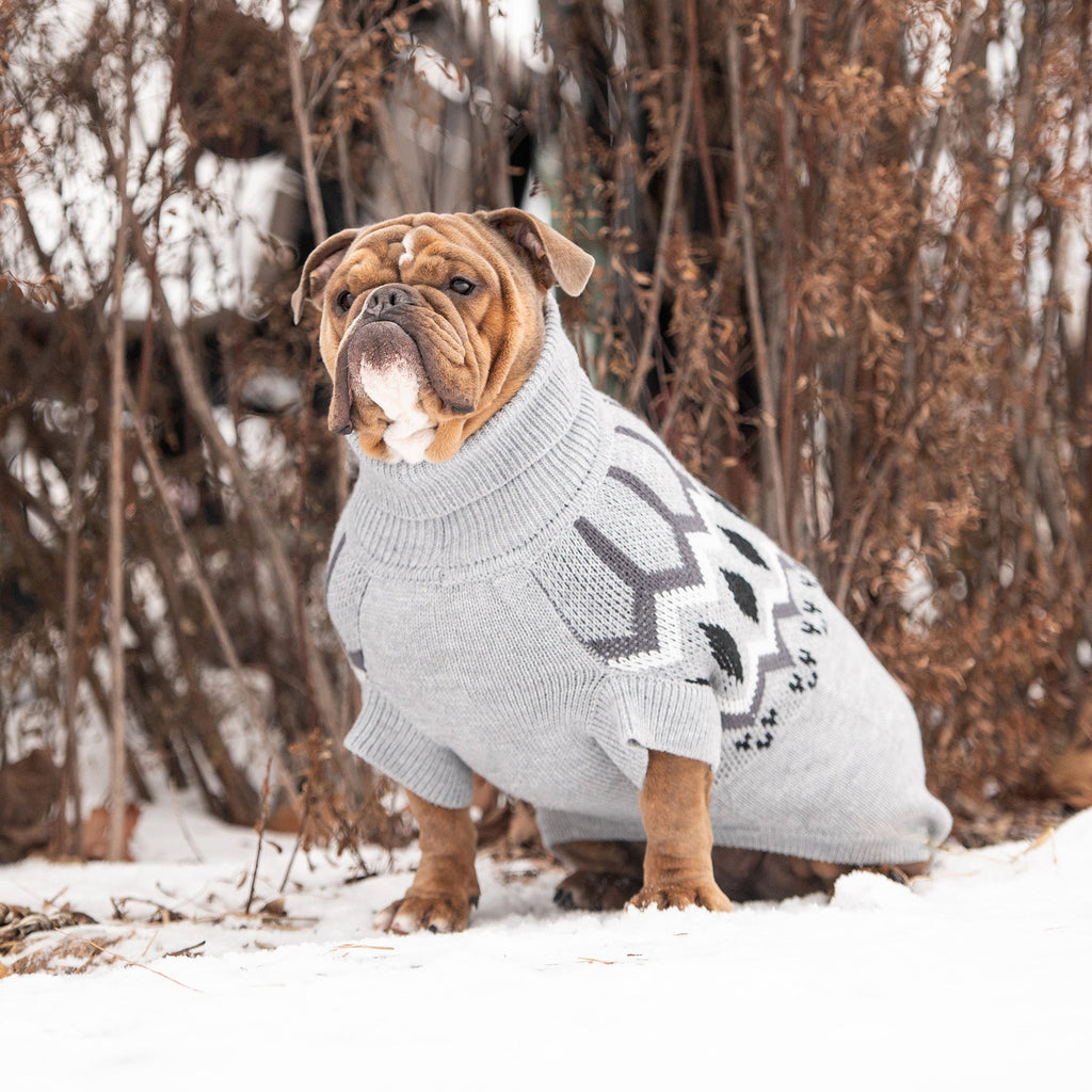 Heritage Sweater - Grey Mix by GF Pet.us