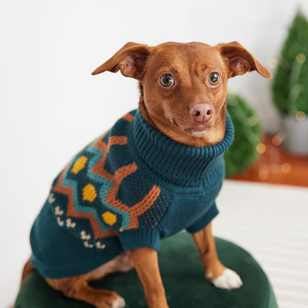 Heritage Sweater - Teal by GF Pet.us