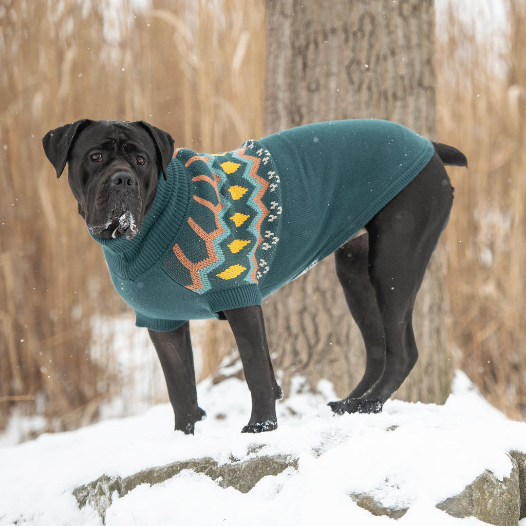 Heritage Sweater - Teal by GF Pet.us