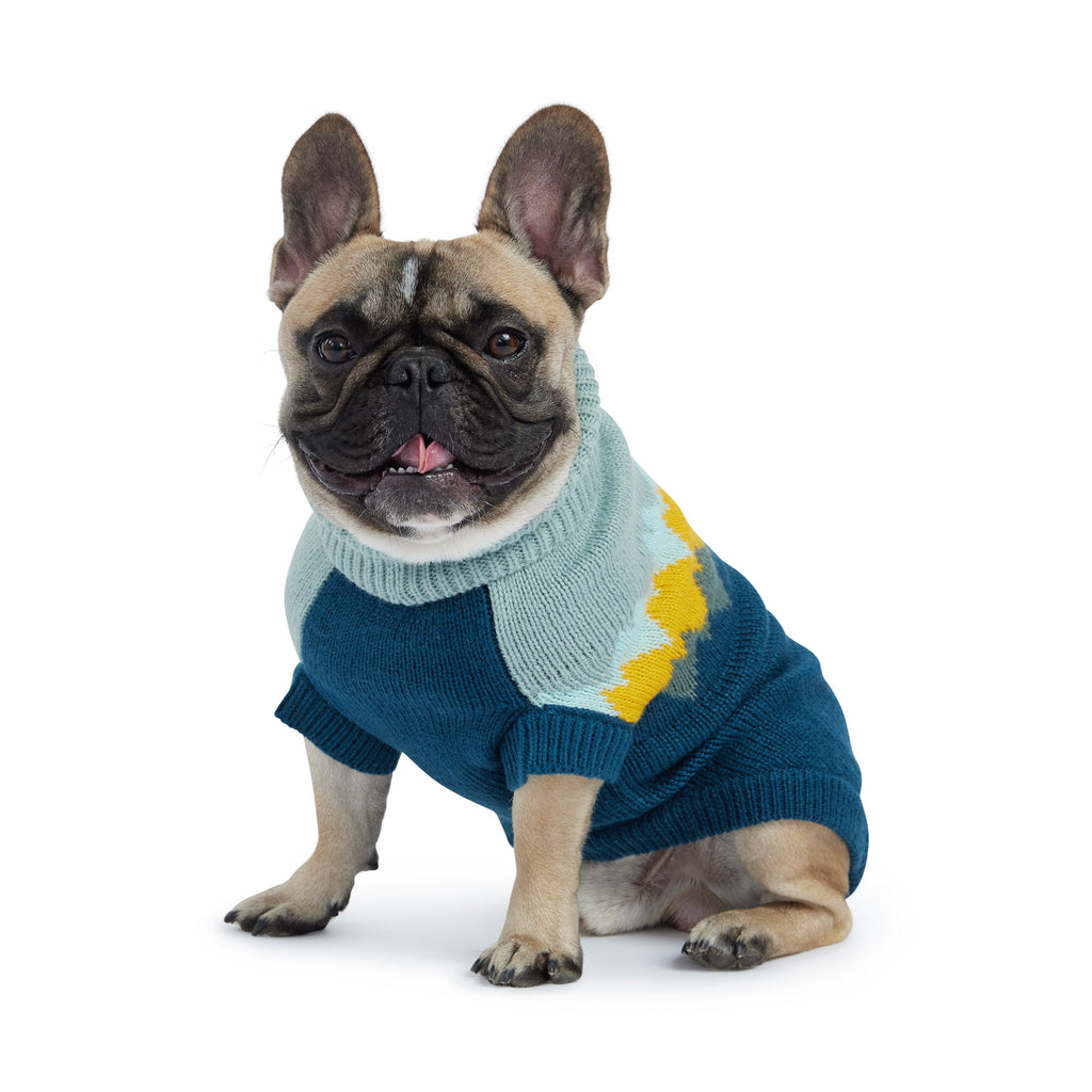 Fireside Sweater - Teal by GF Pet.us