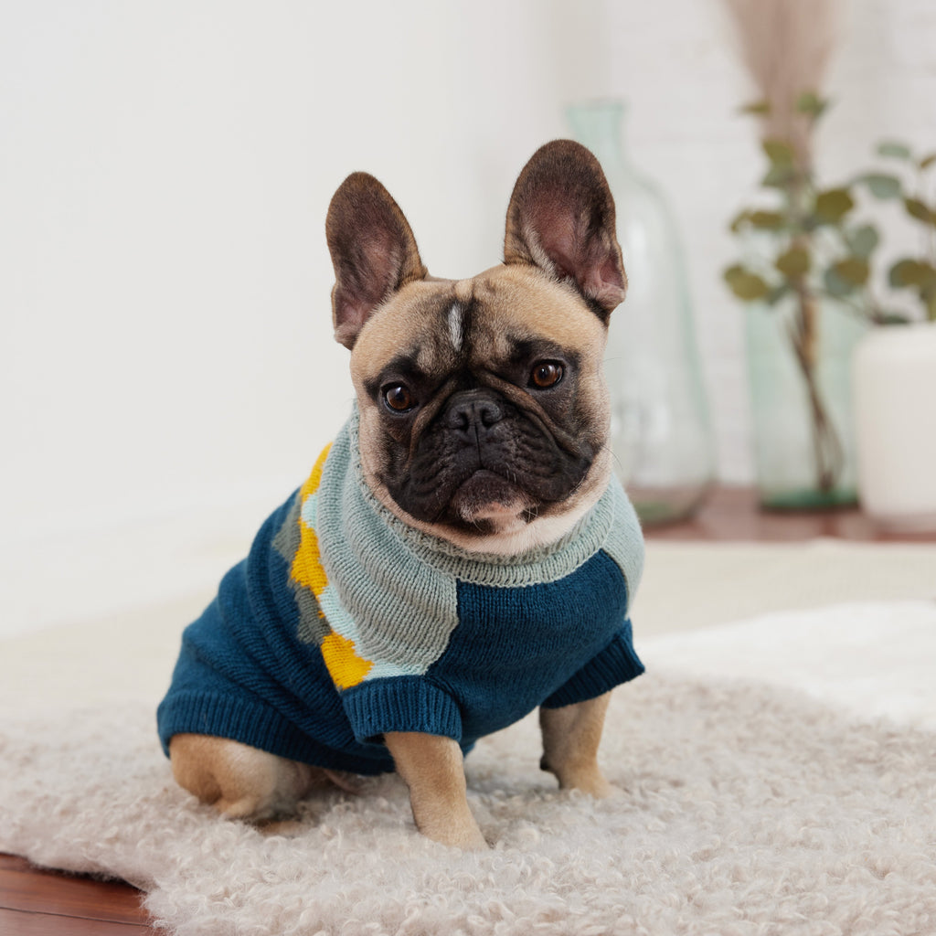 Fireside Sweater - Teal by GF Pet.us