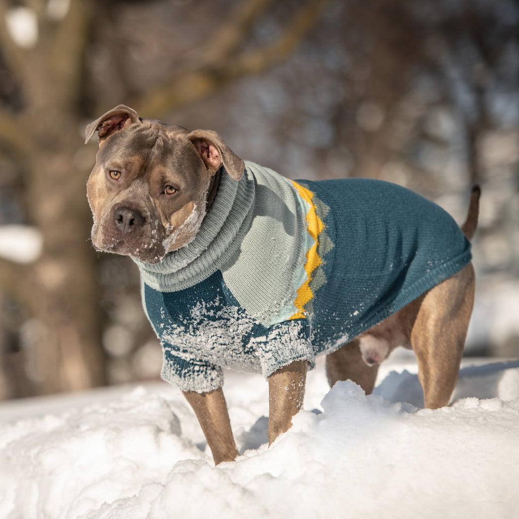 Fireside Sweater - Teal by GF Pet.us