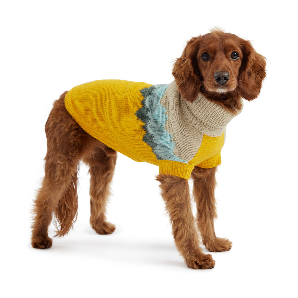Fireside Sweater - Yellow by GF Pet.us