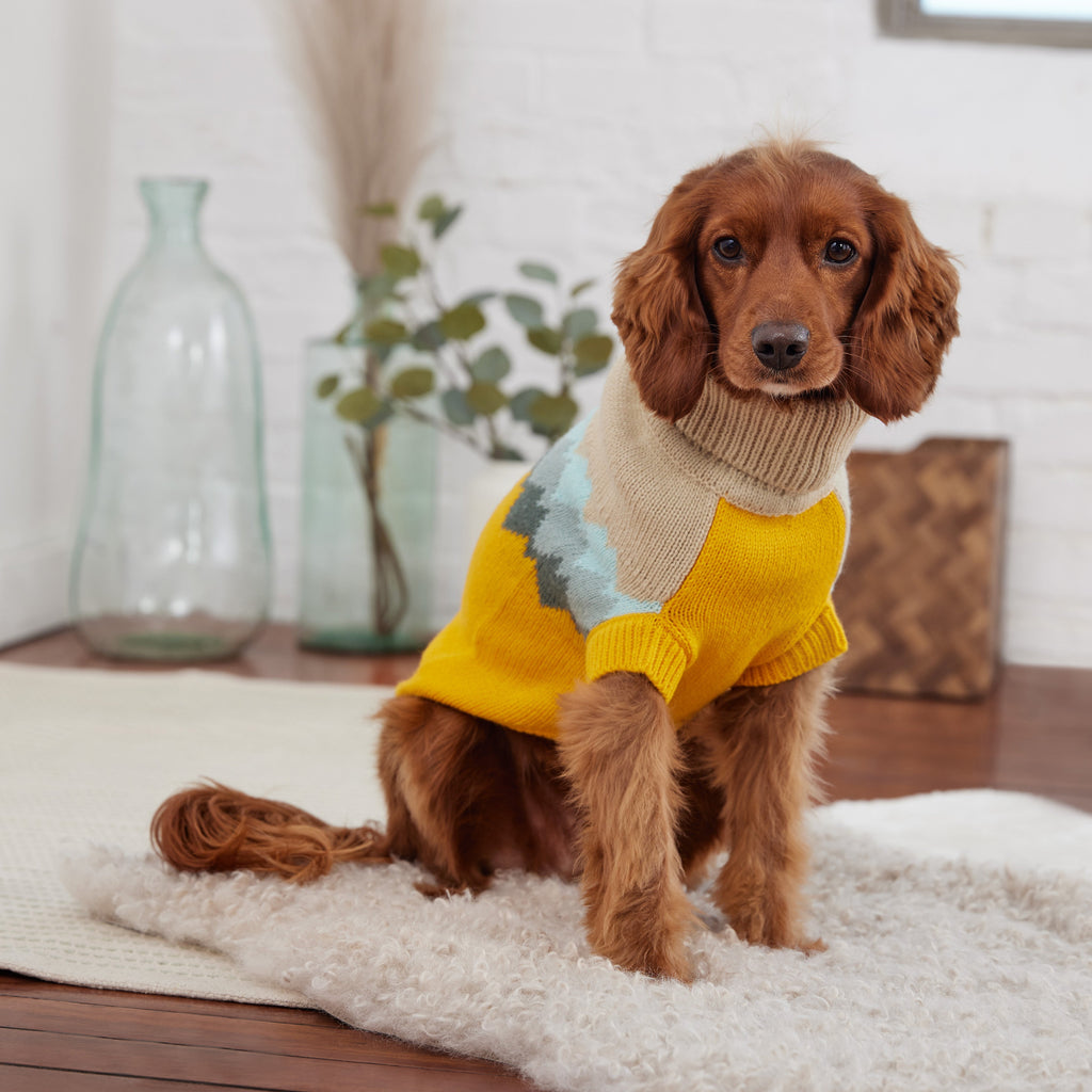 Fireside Sweater - Yellow by GF Pet.us