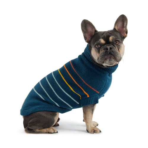 Arctic Sweater - Teal by GF Pet.us