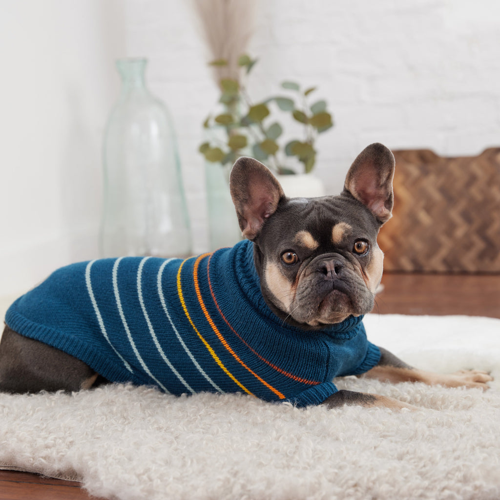 Arctic Sweater - Teal by GF Pet.us