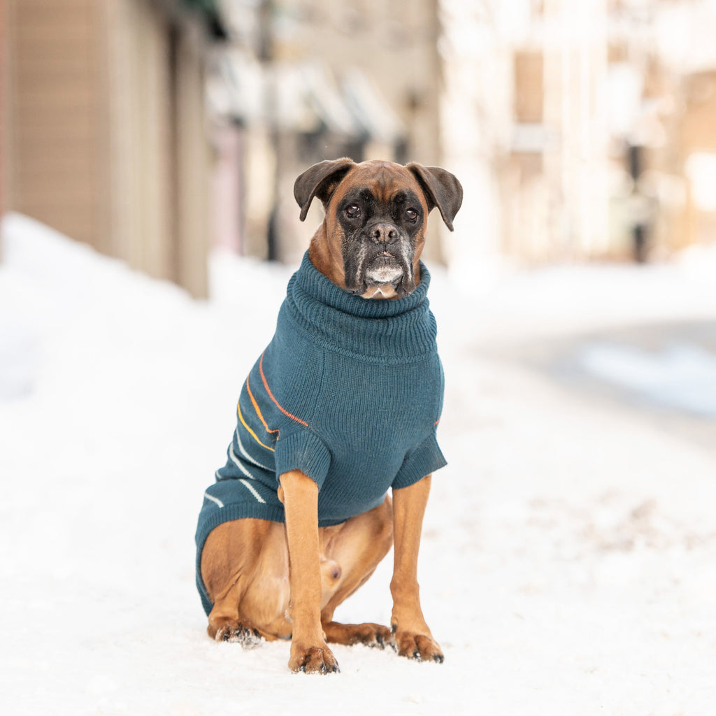 Arctic Sweater - Teal by GF Pet.us