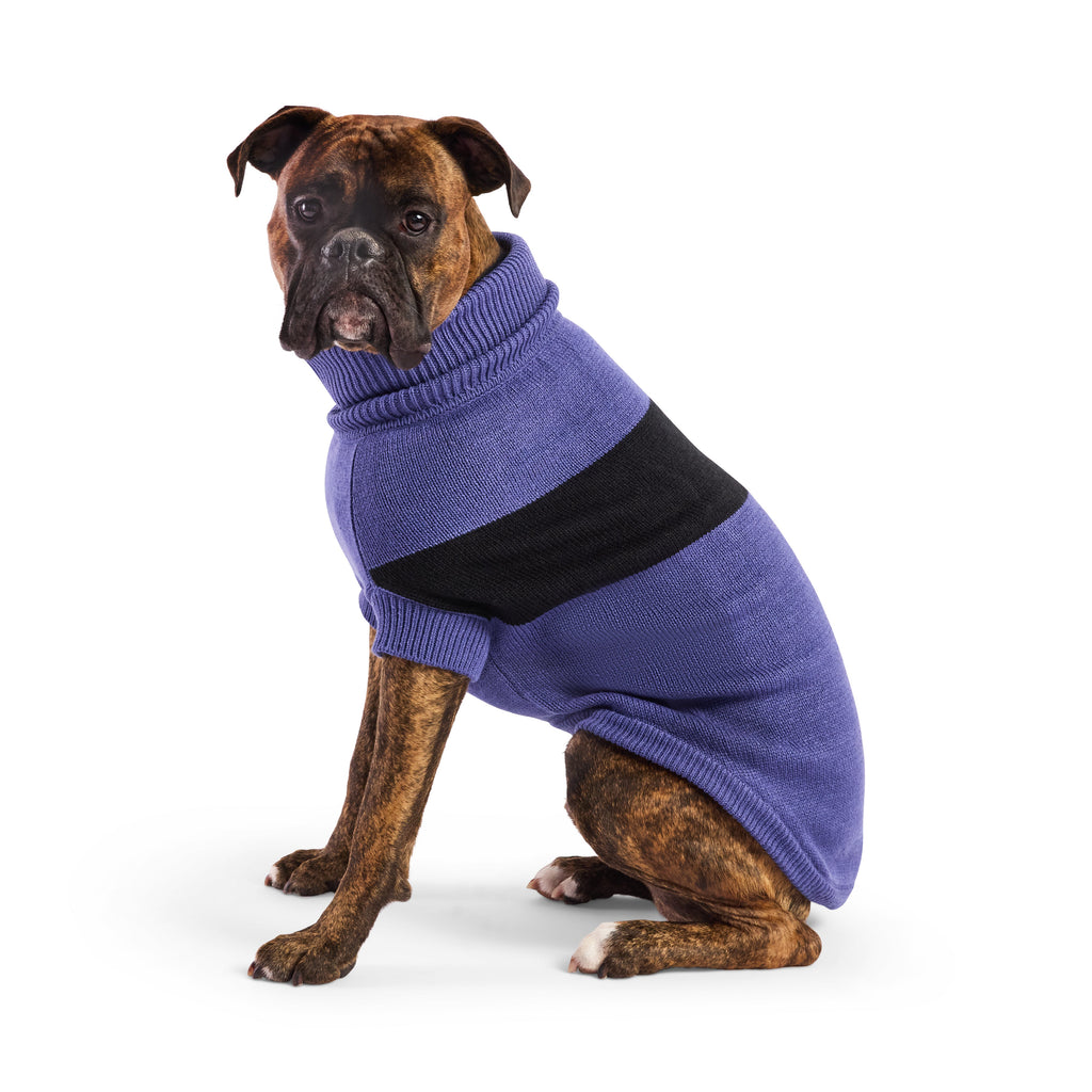 Catalyst Sweater by GF Pet.us