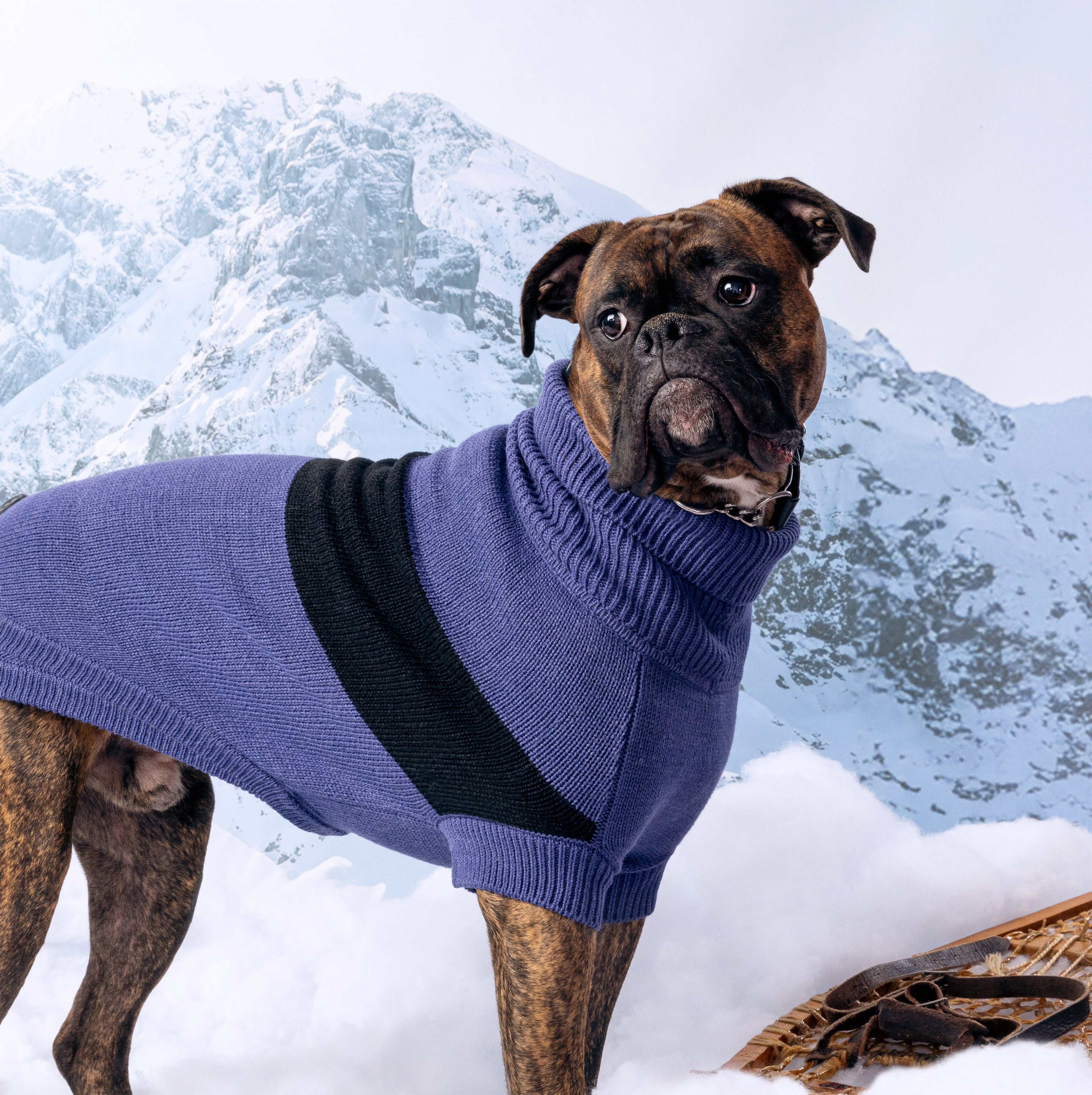 Catalyst Sweater by GF Pet.us