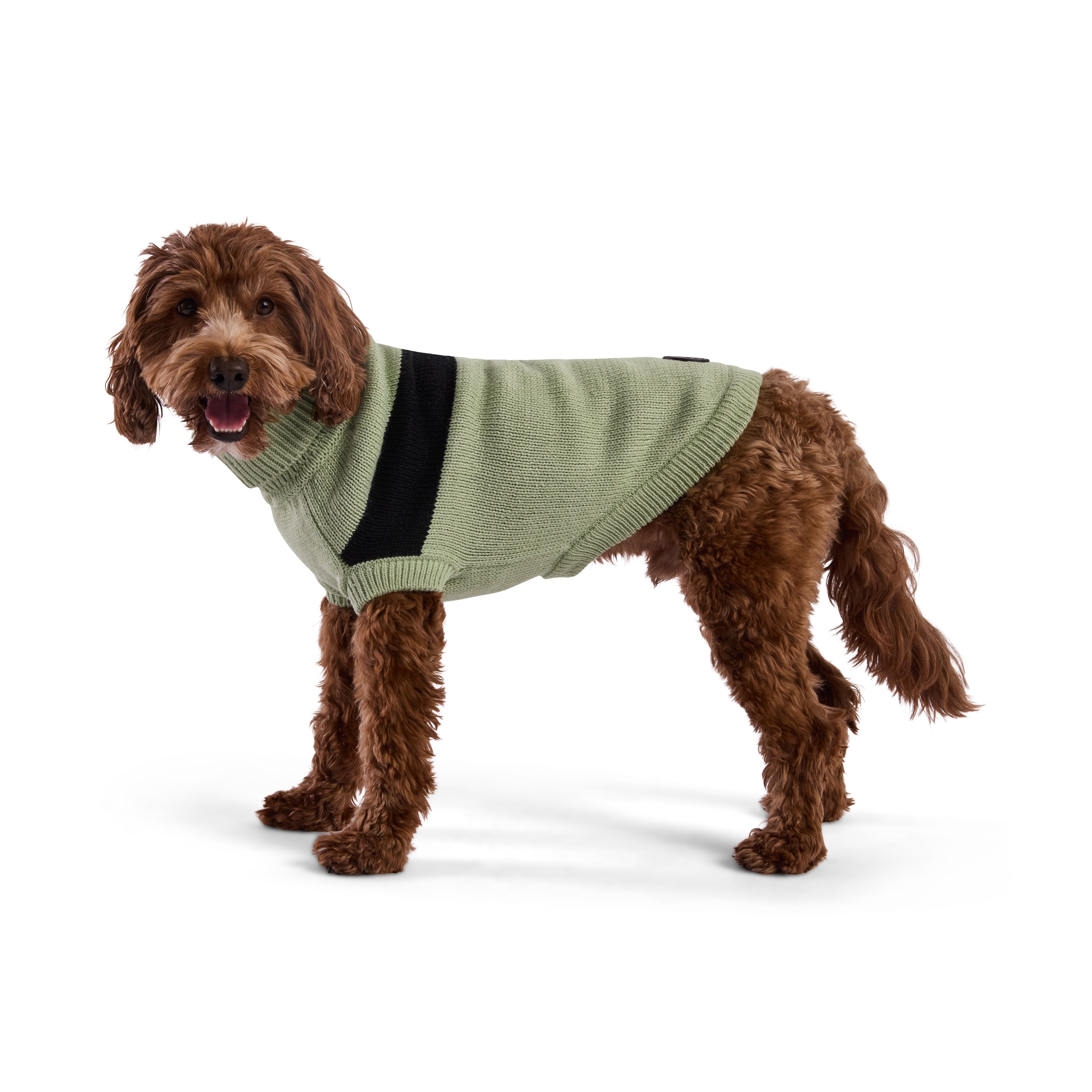 Catalyst Sweater by GF Pet.us