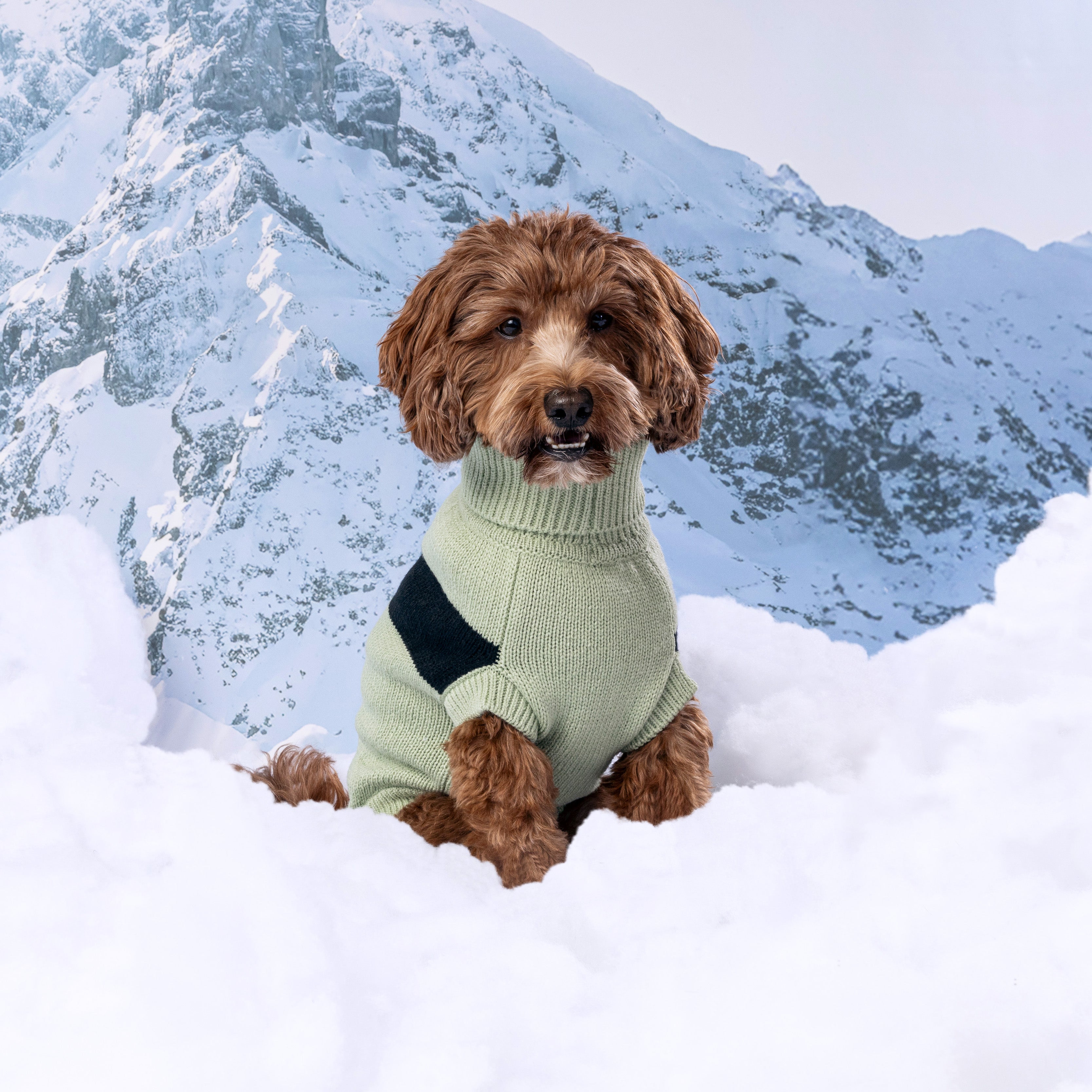 Catalyst Sweater by GF Pet.us