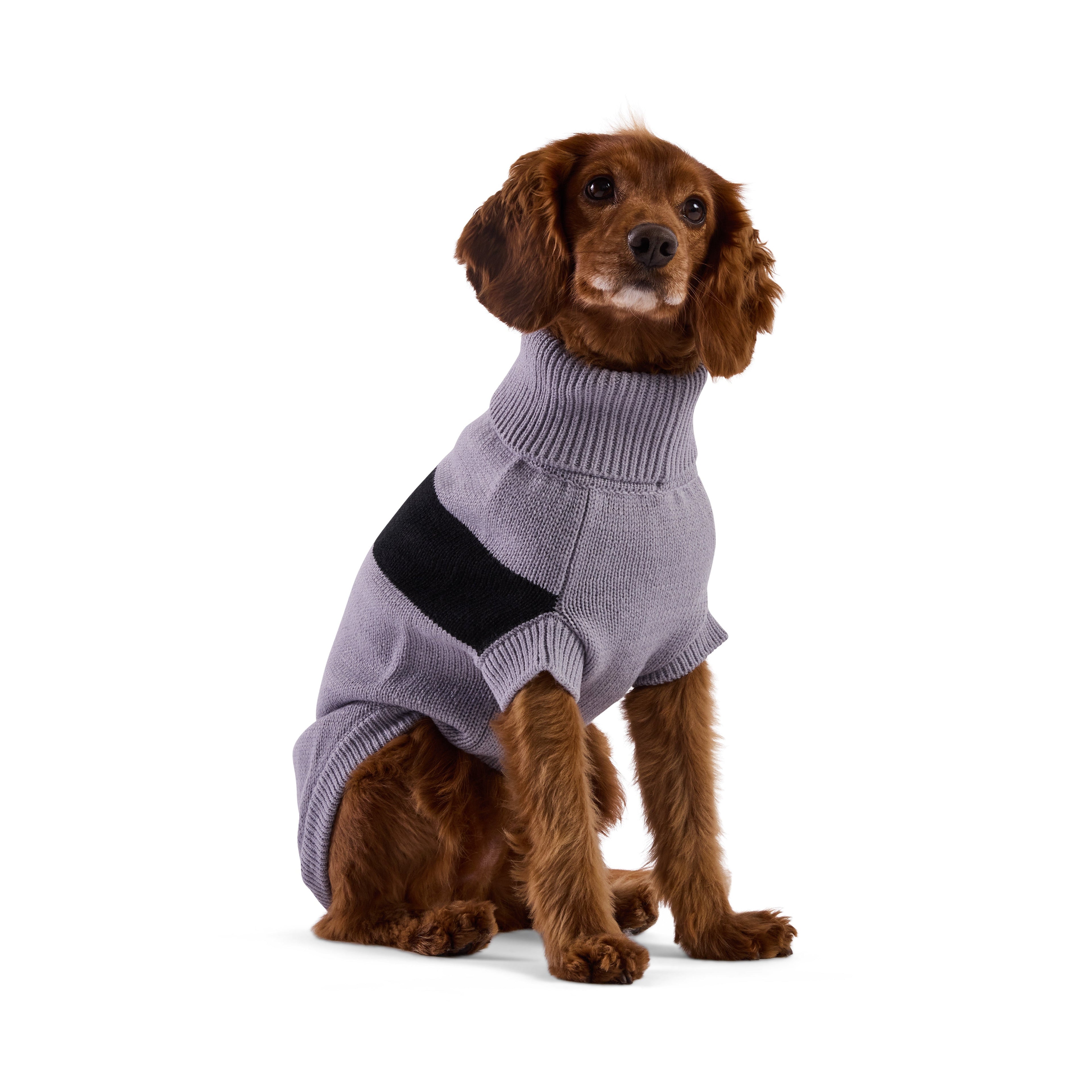 Catalyst Sweater by GF Pet.us