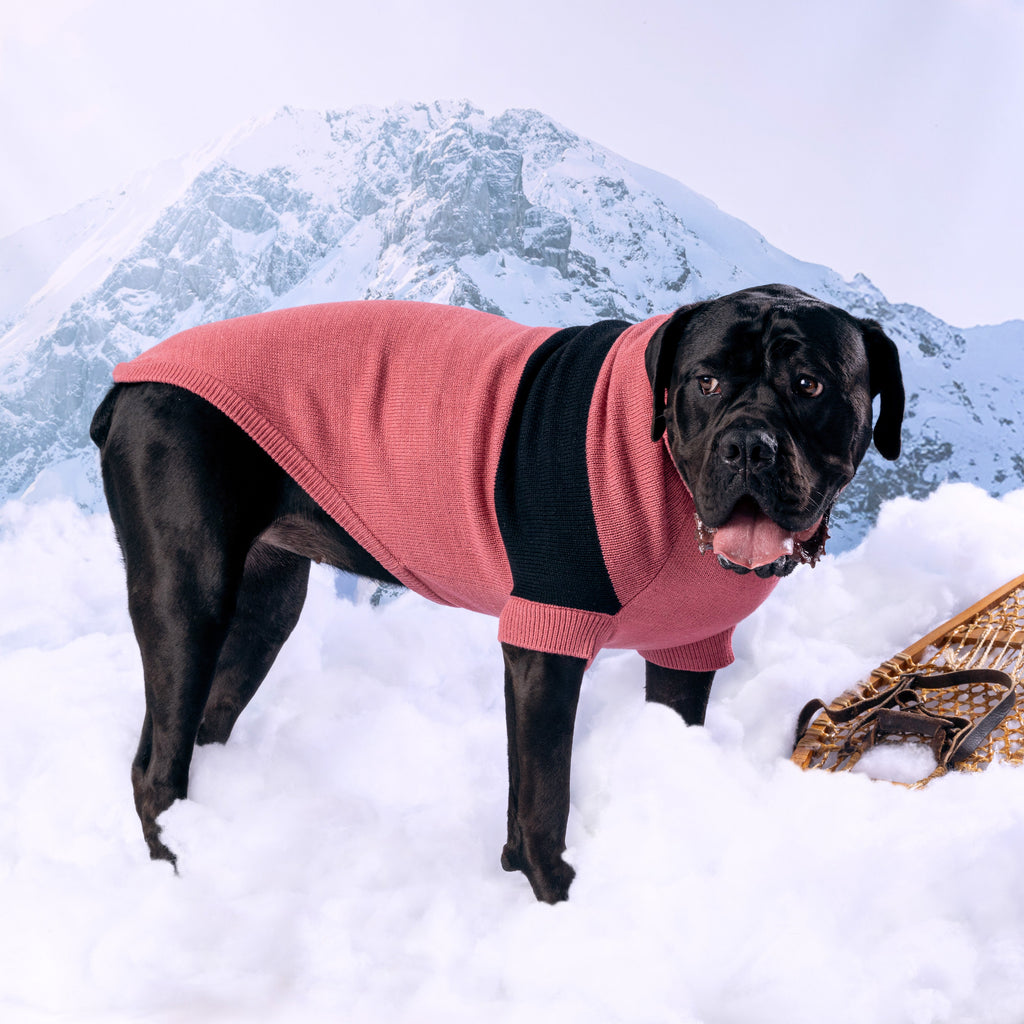 Catalyst Sweater by GF Pet.us