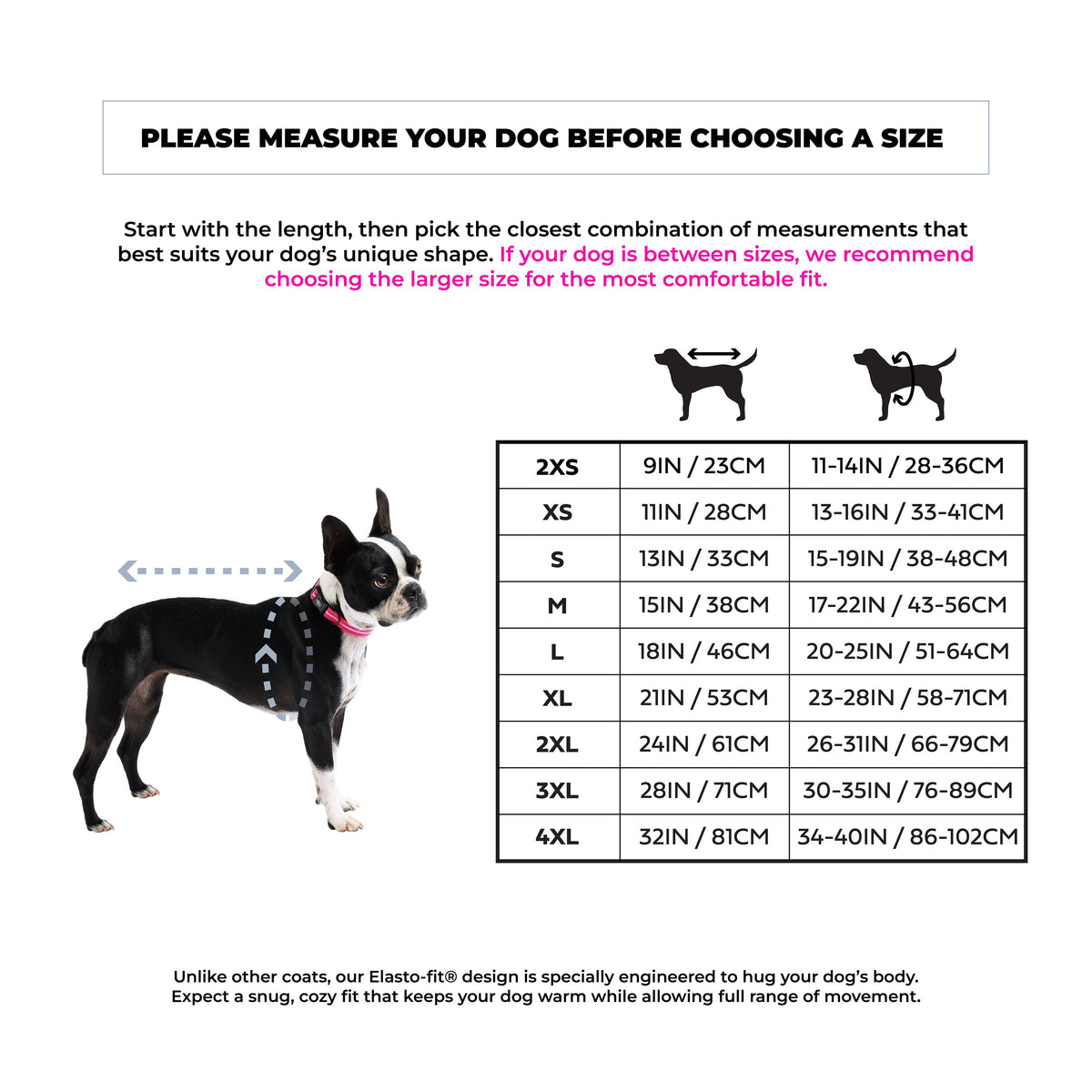 Winter Sailor Parka - Aqua by GF Pet.us