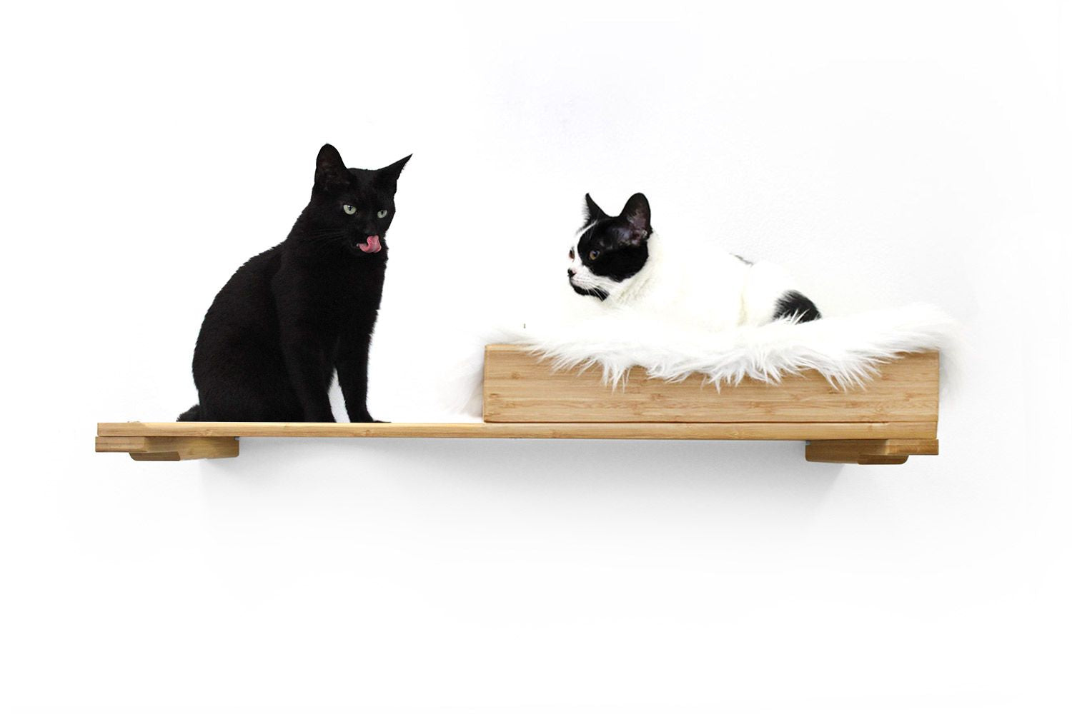 The Cat Nest Bed by Catastrophic Creations