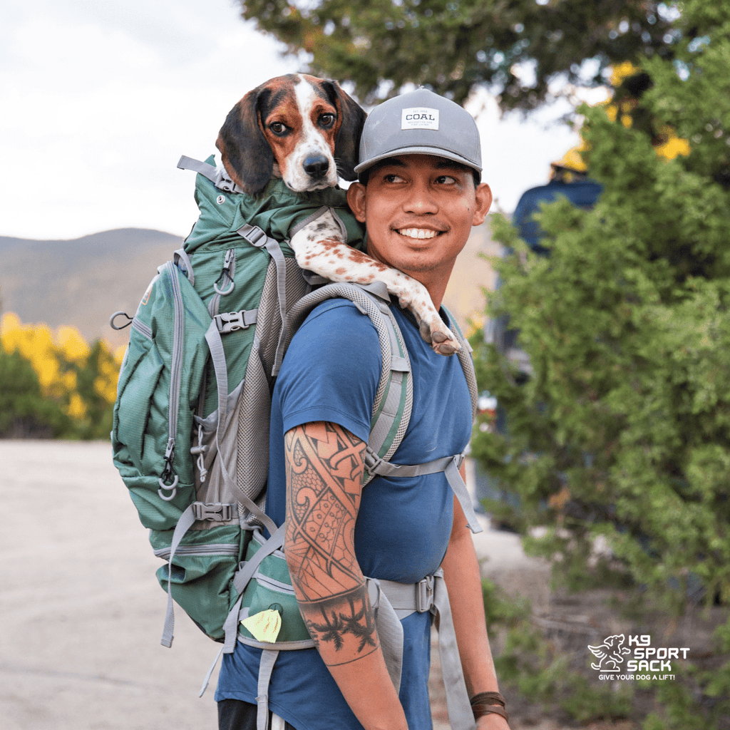 Kolossus | Big Dog Carrier & Backpacking Pack by K9 Sport Sack