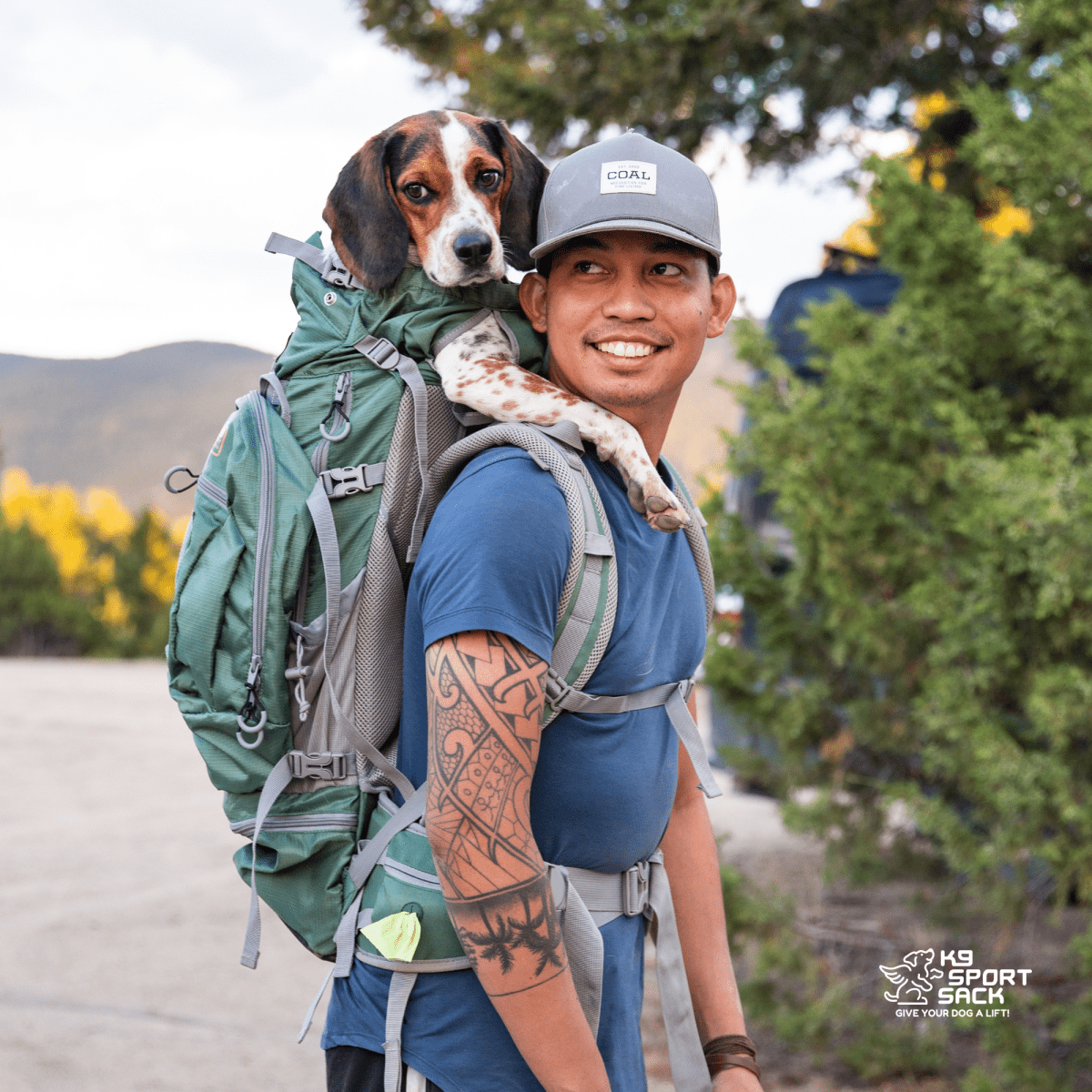 Kolossus | Big Dog Carrier & Backpacking Pack by K9 Sport Sack