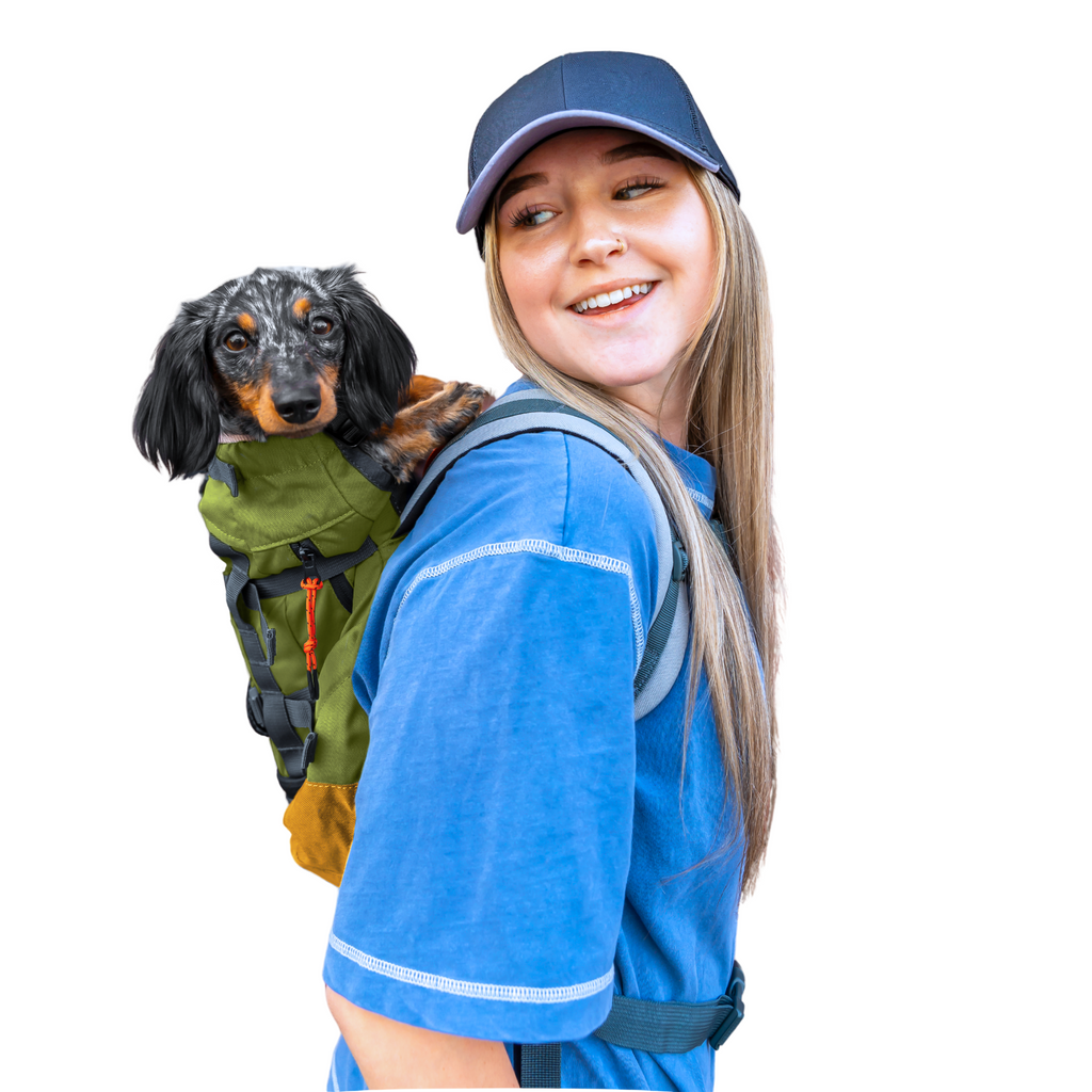 Urban 3 | Dual Use Dog Carrier & Traditional Backpack by K9 Sport Sack