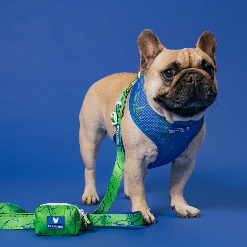 Frenchie Duo Reversible Harness - Green Marble by Frenchie Bulldog