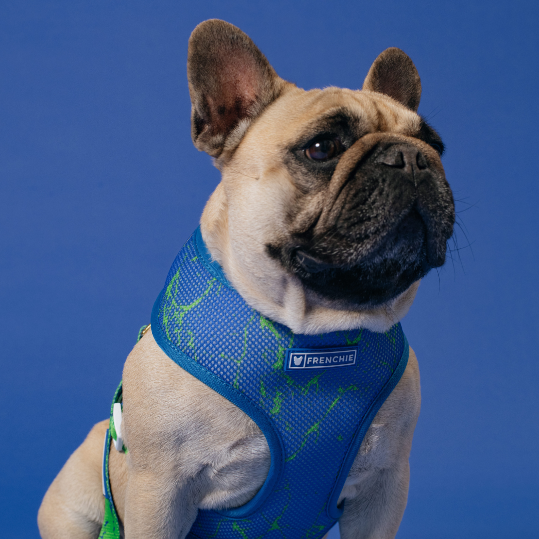 Frenchie Duo Reversible Harness - Green Marble by Frenchie Bulldog