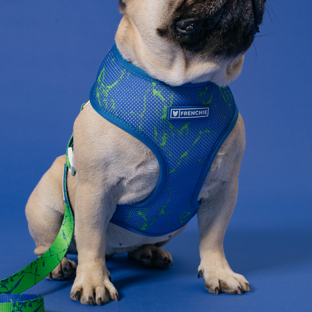Frenchie Duo Reversible Harness - Green Marble by Frenchie Bulldog
