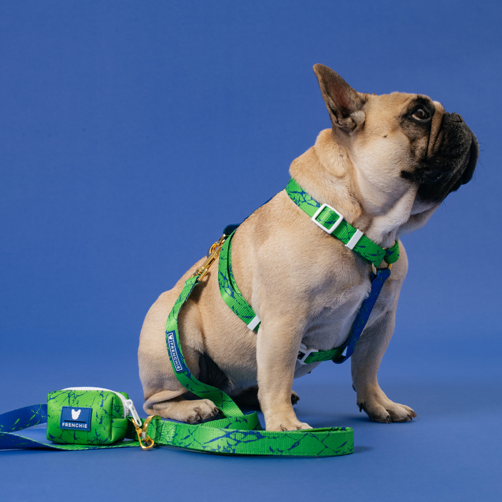 Frenchie Comfort Leash - Green Marble by Frenchie Bulldog