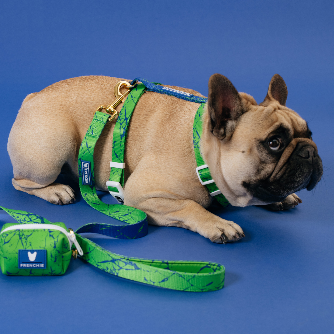 Frenchie Comfort Leash - Green Marble by Frenchie Bulldog