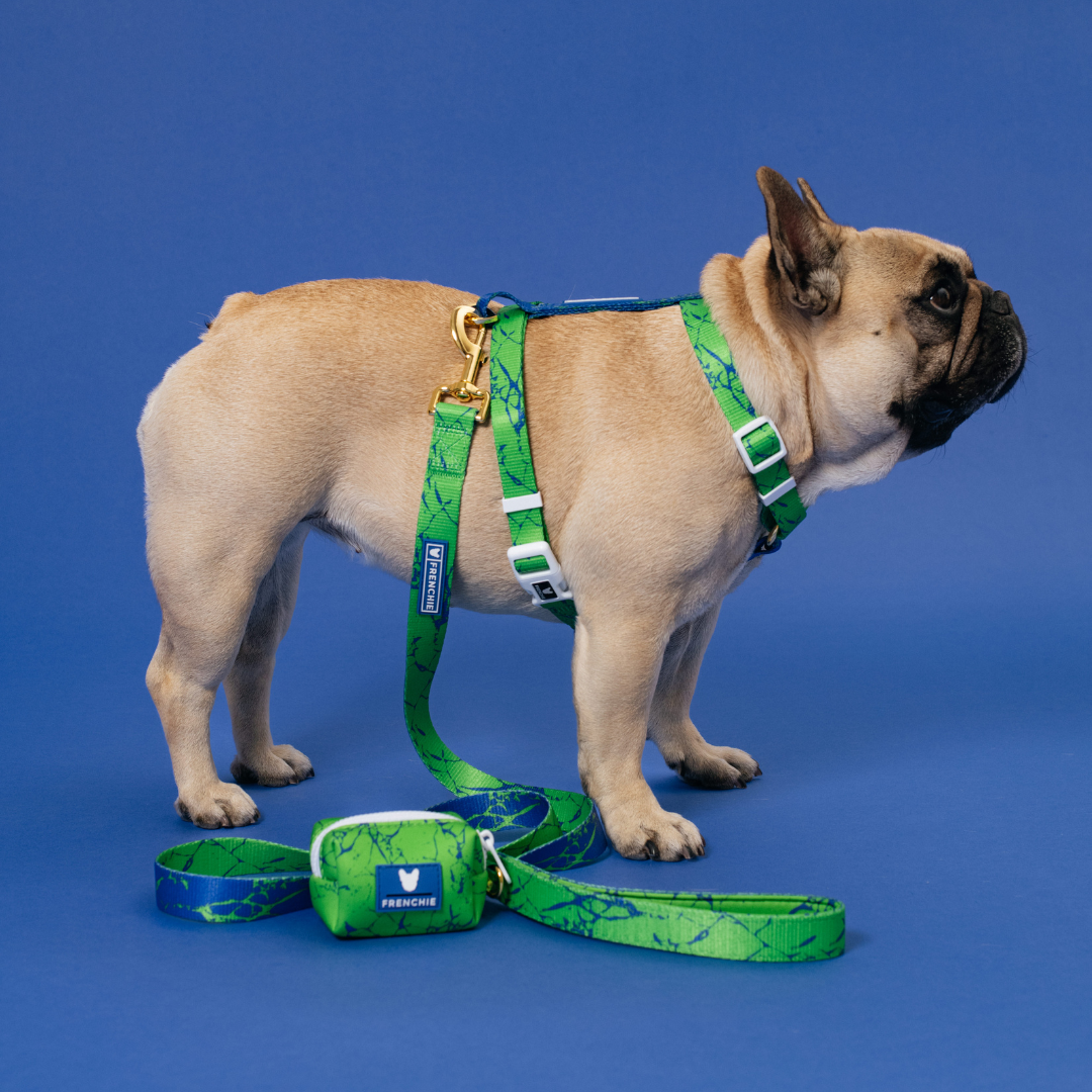 Frenchie Strap Harness - Green Marble