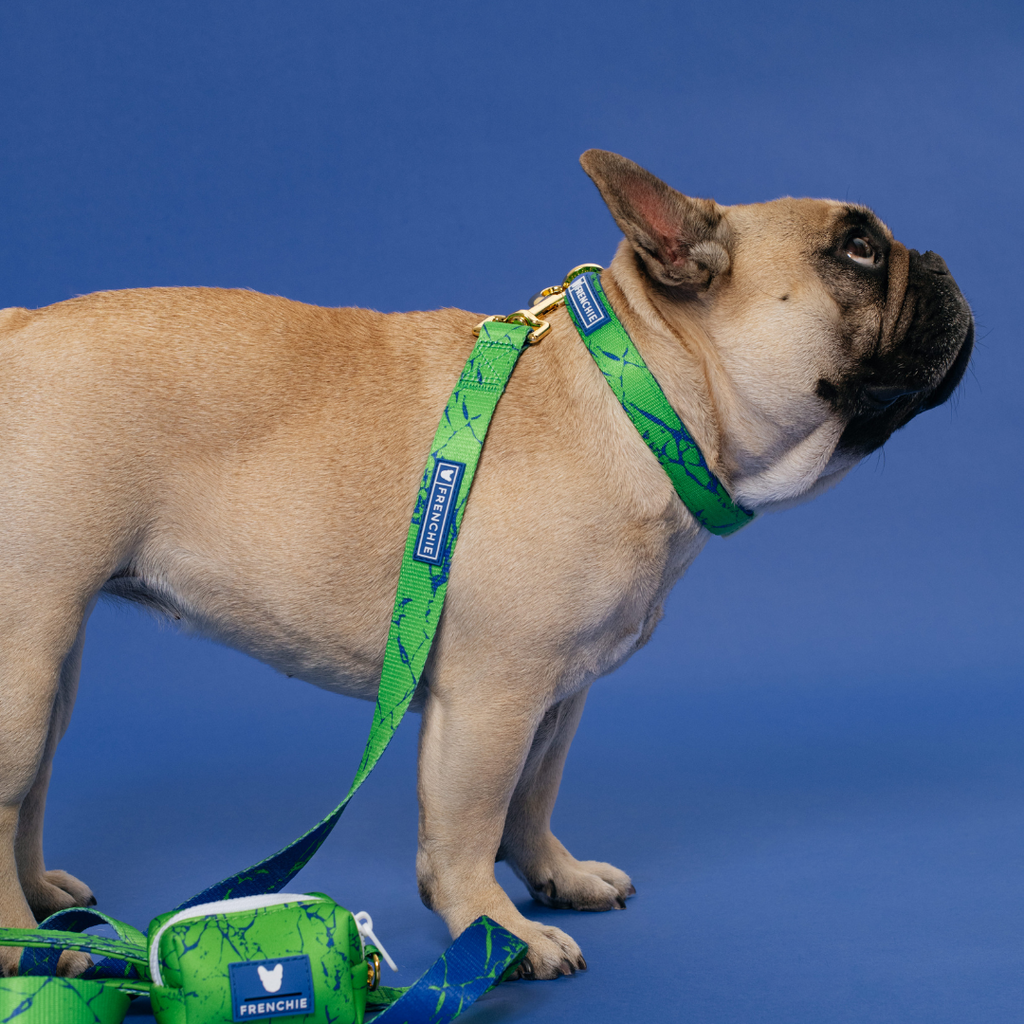 Frenchie Comfort Collar - Green Marble by Frenchie Bulldog