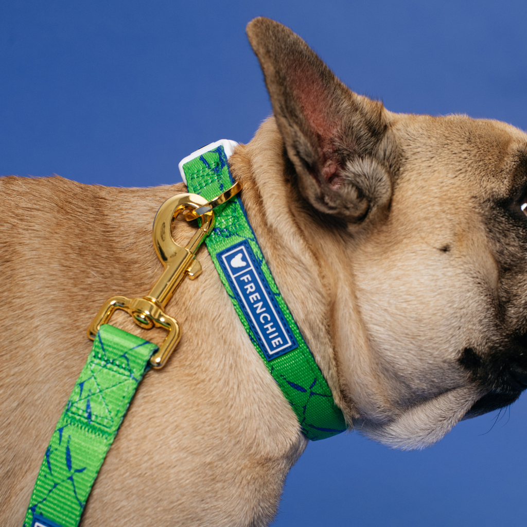 Frenchie Comfort Collar - Green Marble by Frenchie Bulldog