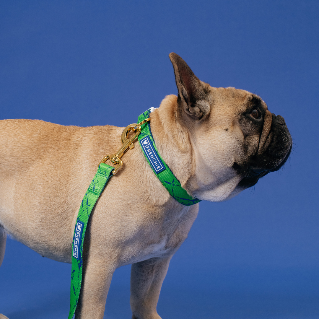 Frenchie Comfort Collar - Green Marble by Frenchie Bulldog