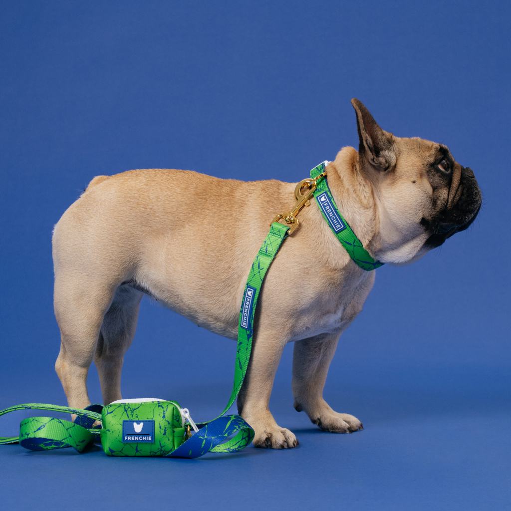 Frenchie Comfort Leash - Green Marble by Frenchie Bulldog